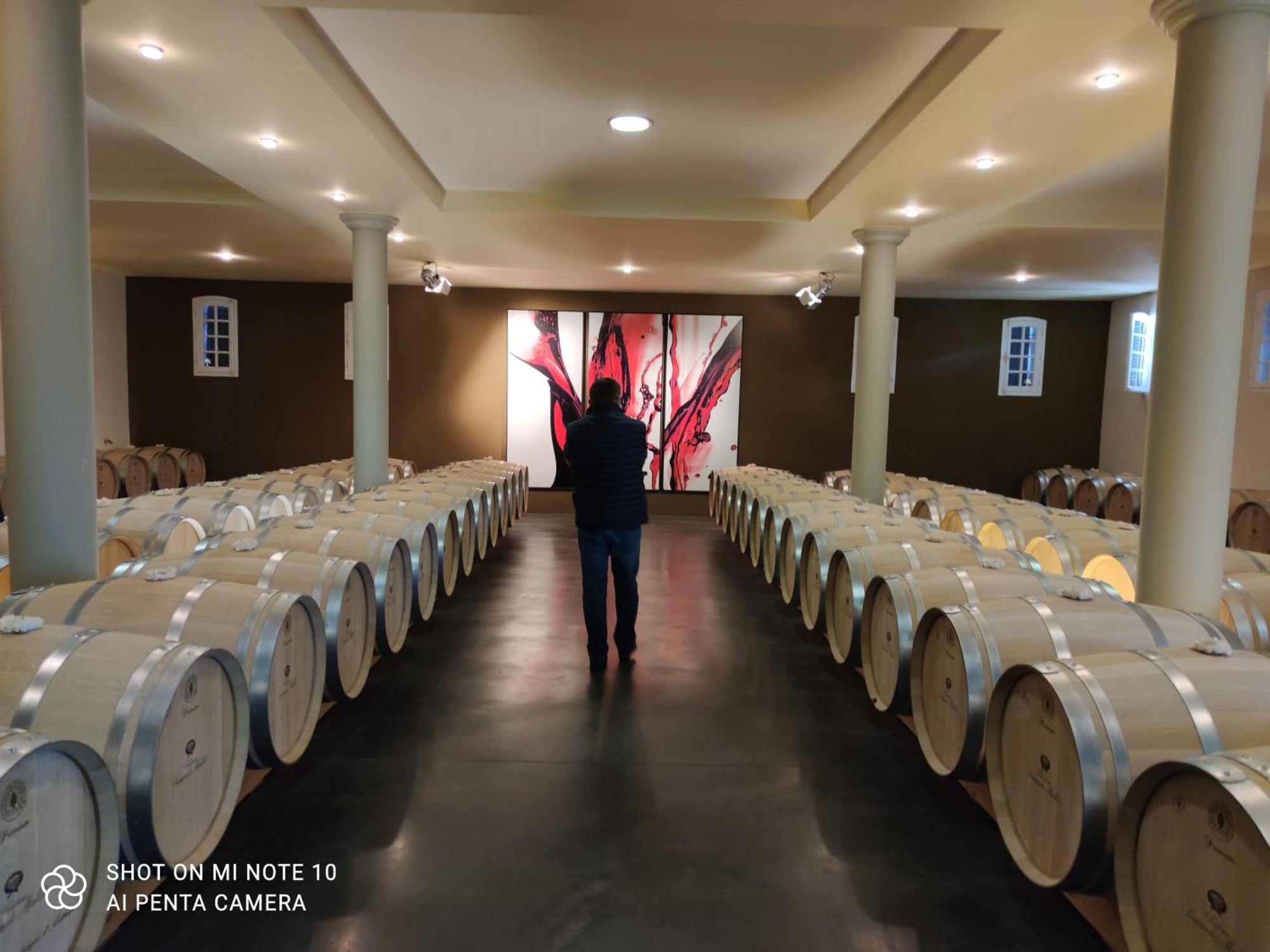 Domaine Des Pres De Joussac - Protocole Sanitaire Strict Villa Jau-Dignac-et-Loirac Kültér fotó